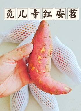 红安苕湖北特产红薯红皮红心苕新鲜现挖番薯沙地蜜薯5斤装20斤装