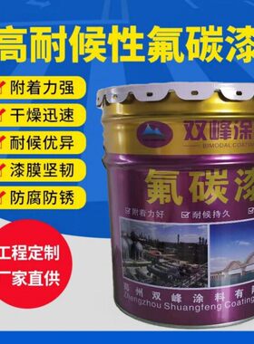 氟碳清漆 外墙金属氟碳漆 钢结构桥梁铁艺防锈漆 氟碳光油