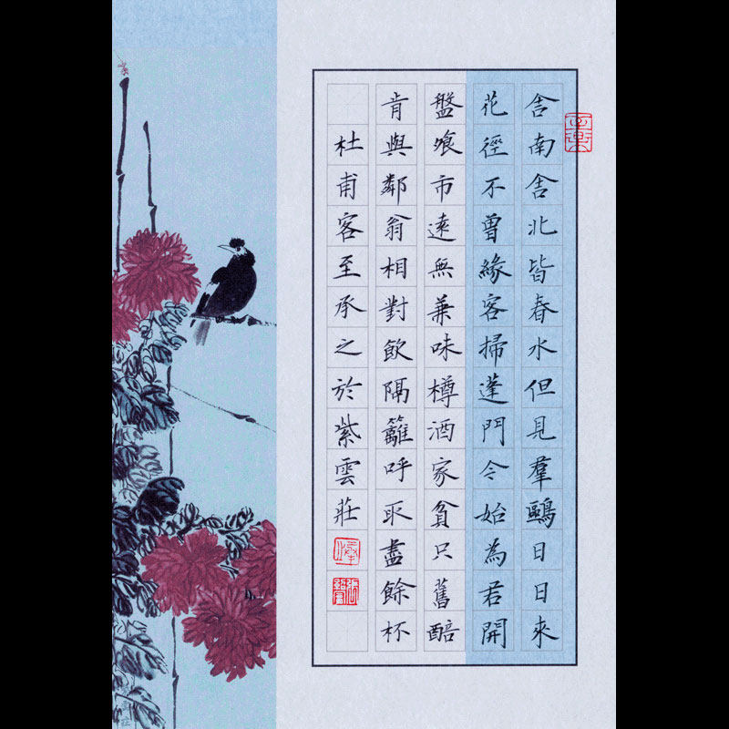 紫云庄16开硬笔书法纸米字格小学生作品古诗比赛用纸中高年级518