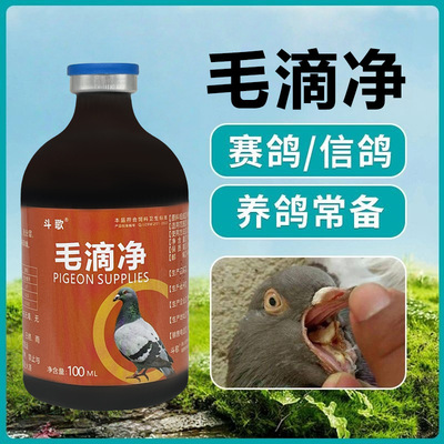 毛滴净毛滴虫鸽用鸽子飞禽炸毛口黄毛滴虫无抗养鸽常备不伤鸽