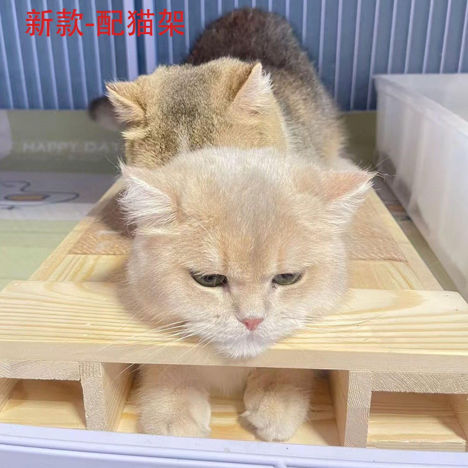 新款-配猫架猫配种猫猫踏板增高配猫架麻绳猫抓板公猫配种辅助架