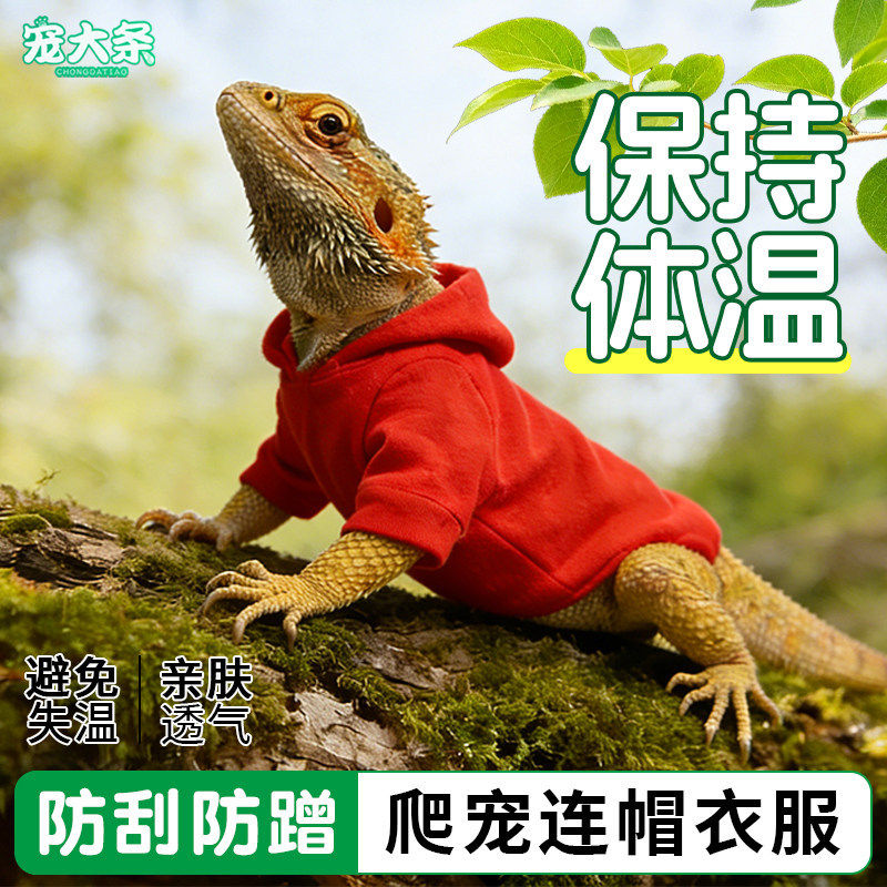 蜥蜴衣服鬃狮蜥保温连帽衫t恤爬宠外出变身装蜥蜴服饰跨境xj