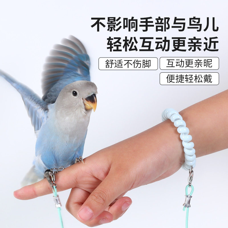 鹦鹉放飞绳弹力不伤脚超轻训练绳虎皮玄凤牡丹脚环脚链脖套外出绳