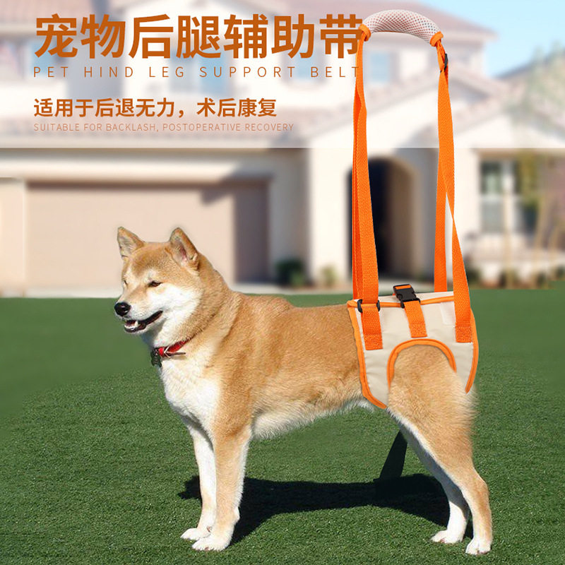 跨境新品高龄犬后腿护理用宠物牵引后腿残疾受伤老龄狗狗辅助带