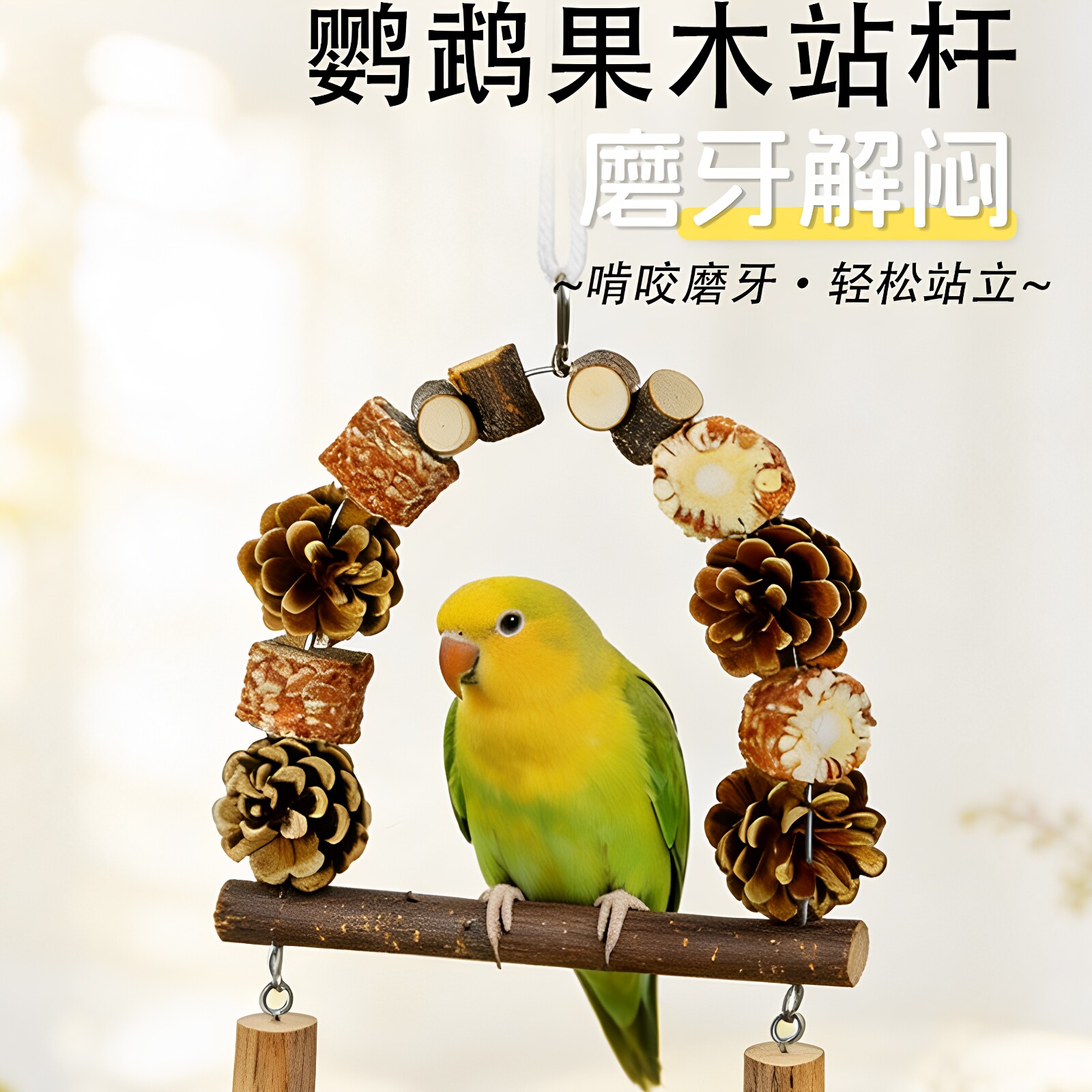 天然环保解闷好玩果实鹦鹉秋千