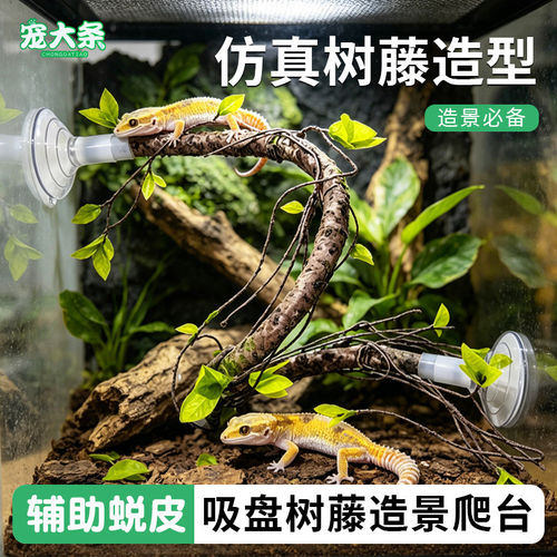 爬宠树藤站杆仿真树枝藤蔓蛇守宫蜥蜴龟缸造景吸盘玩具跨境代发JC