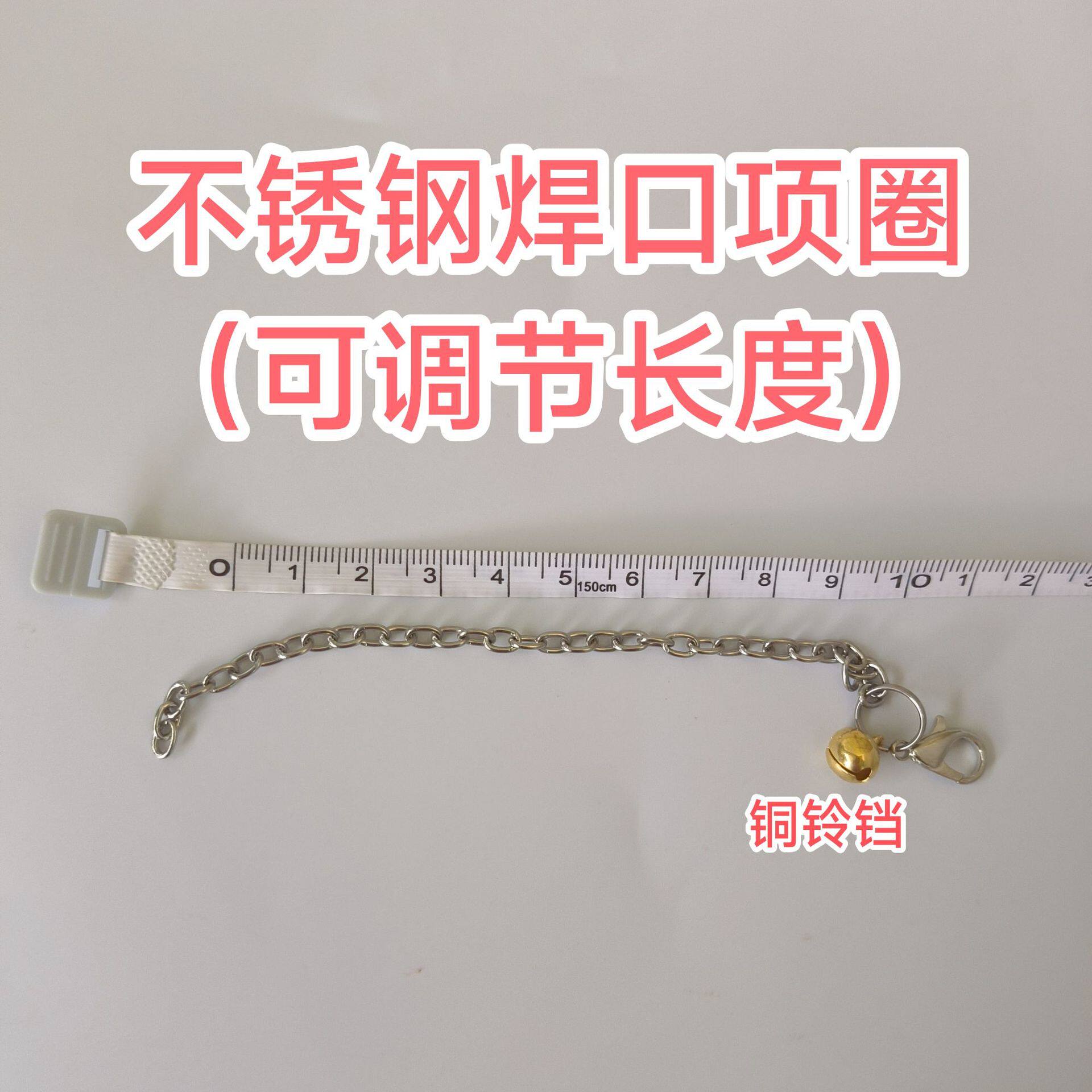 松鼠项圈 不锈钢焊口项圈 防咬断防爆冲带铜铃铛魔王小宠外出