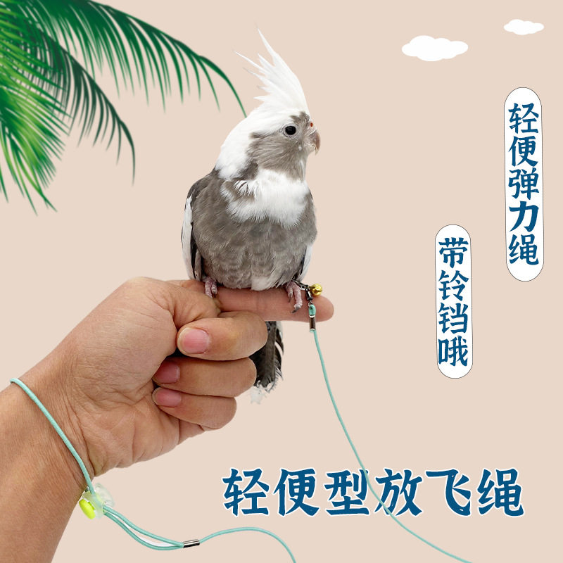 鹦鹉放飞绳户外牵引弹力鸟用绳轻便训练绳遛鸟绳放飞宠物小鸟脚环