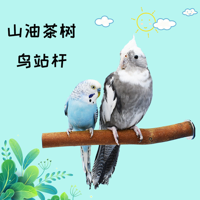 小鸟站杆鹦鹉站架树枝油茶树原木站杠鸟站棒磨牙站棍套装鸟笼站架