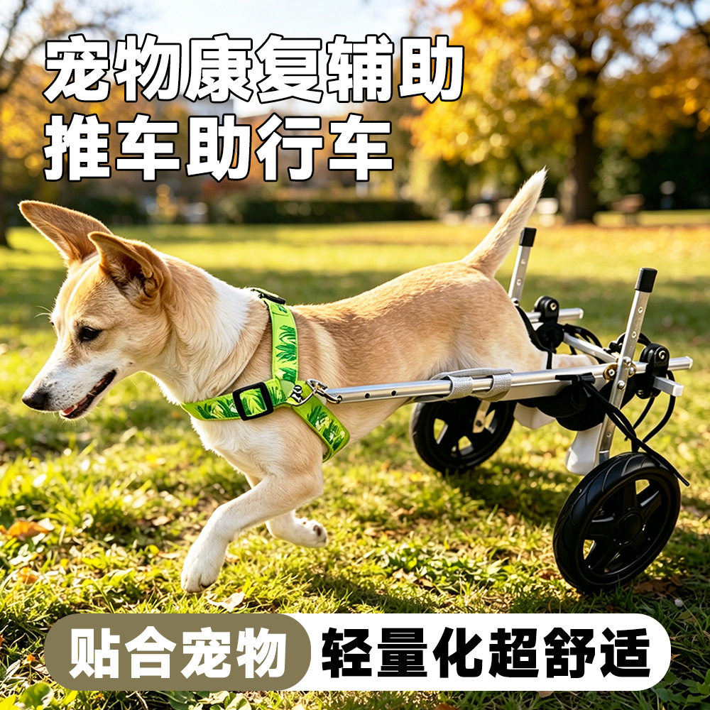 中大型狗轮椅车后肢康复宠物瘫痪残疾辅助后腿支架代步跨境代发GL