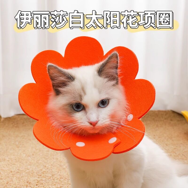 伊丽莎白圈猫绝育项圈防舔除跳蚤英短猫咪脖圈颈圈头套狗宠物用品