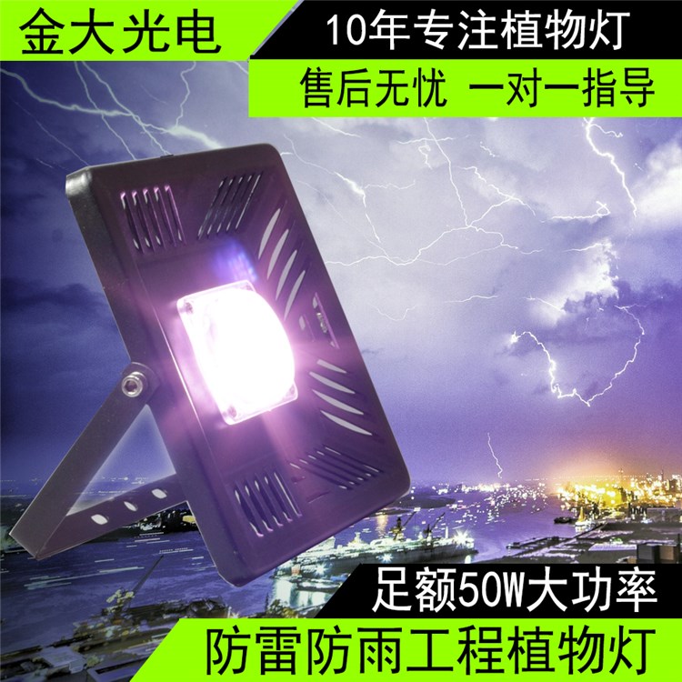 LED植物生长补光灯温室组培多肉花卉红蓝光合灯防水植物灯管|msdalam kategori keluarga memasang ibu, Lampu &amp; Lighting Fixtures, 功能性灯具, 植物生长灯 - dari Buy2taobao.com untuk memberikan perkhidmatan ejen Taobao profesional membeli