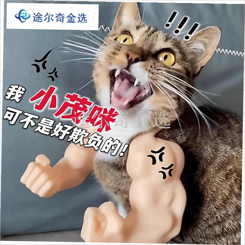 猫咪肌肉手臂g拳击挂脖狗拳头绿巨人洛克COS恶搞创意网红整蛊玩
