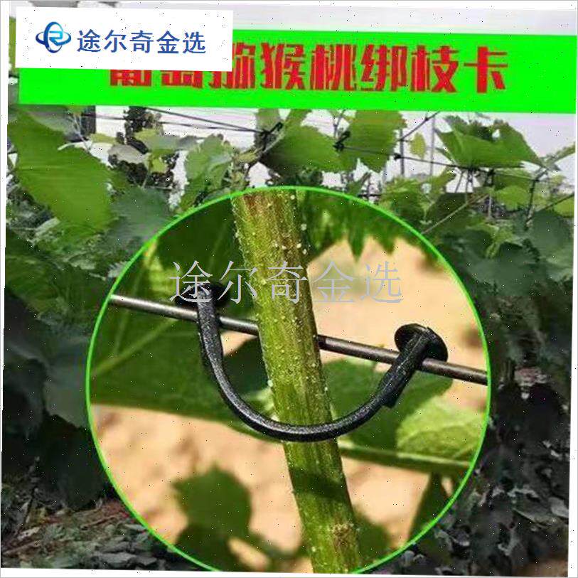 葡萄猕猴桃绑枝卡扣蓝莓葡萄树苗枝F条固定卡子塑料挂钩绑蔓绑枝
