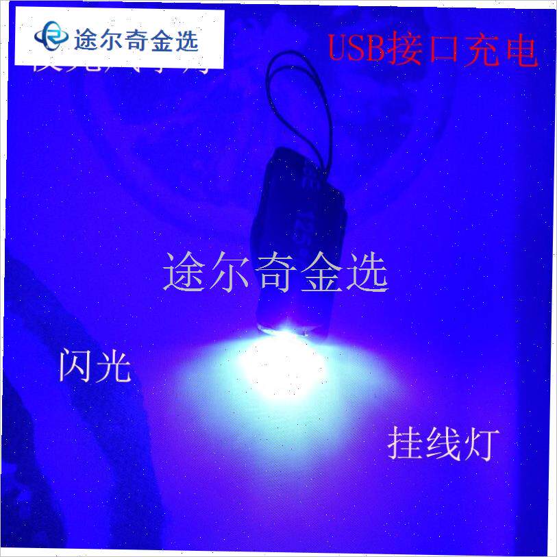 夜光风筝灯爆闪灯可充电超亮风筝线灯微风易飞成人W风筝儿童带灯