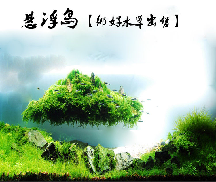 悬浮岛水草 莫斯水草 莫斯岛 鱼缸沉木骨架造景 浮石莫斯石头