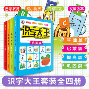 （识字大王4册学前准备启蒙基础提高巩固幼小衔接启蒙训练彩色绘本）