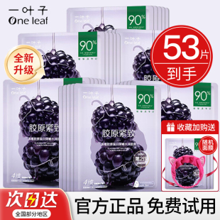 一叶子黑莓面膜补水保湿 干皮紧致抗皱舒缓修护敏感肌送中年妈妈女