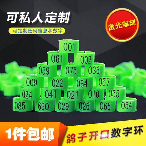 鸽子信鸽赛鸽用品用具识别塑料