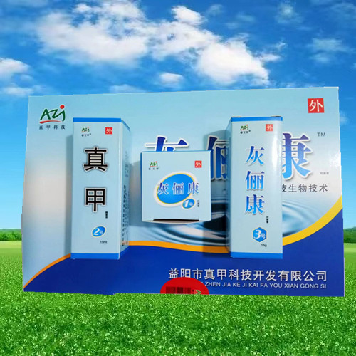 真甲灰俪康  帝王甲  灰俪康套装大盒123号送刀片胶布