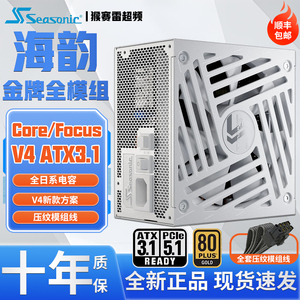 海韵CORE FOCUS GX650W 750W 850W 1000W V4金牌全模组电源ATX3.1