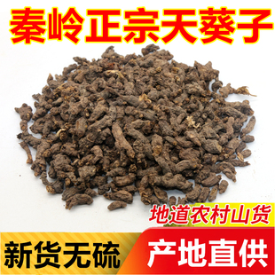 秦岭天葵子正宗千年老鼠屎中药材紫背天葵根250g金耗子屎新鲜干货