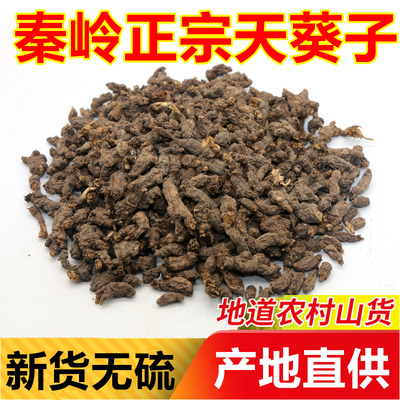 秦岭天葵子正宗千年老鼠屎中药材紫背天葵根250g金耗子屎新鲜干货