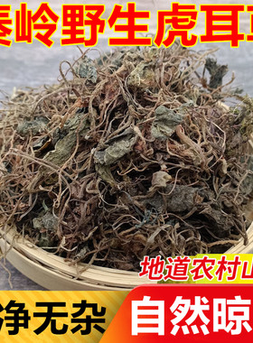 秦岭深山野生虎耳草干货中药材金线吊芙蓉虎儿草金丝荷叶老虎草泡