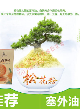 塞上松饼干松仁松花粉
