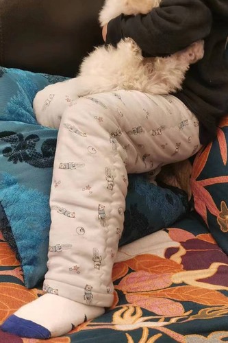 保暖儿童手工棉裤排湿寒蝉昭