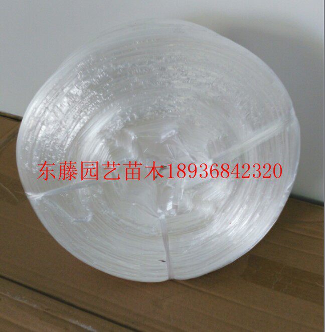 撕裂带/捆扎绳/塑料绳子/打包绳/扎带绳/扎口绳子/包装绳子 包邮