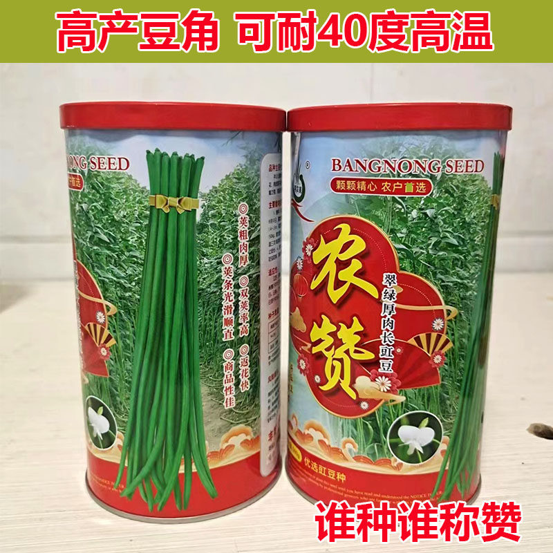 早熟高产耐热长豆角种子