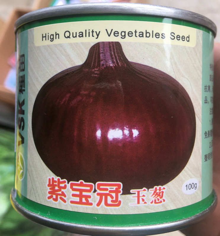 日本进口蔬菜基地大田圆葱头紫宝