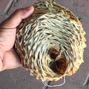 阳江沙扒月亮湾海鱼特产一斤包邮渔民中号刺龟海刺猬皮海胆肉干货