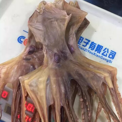 半斤包邮深海渔船生晒坐蛸 石吸 望潮 死牛 石居 八爪鱼 章鱼干货
