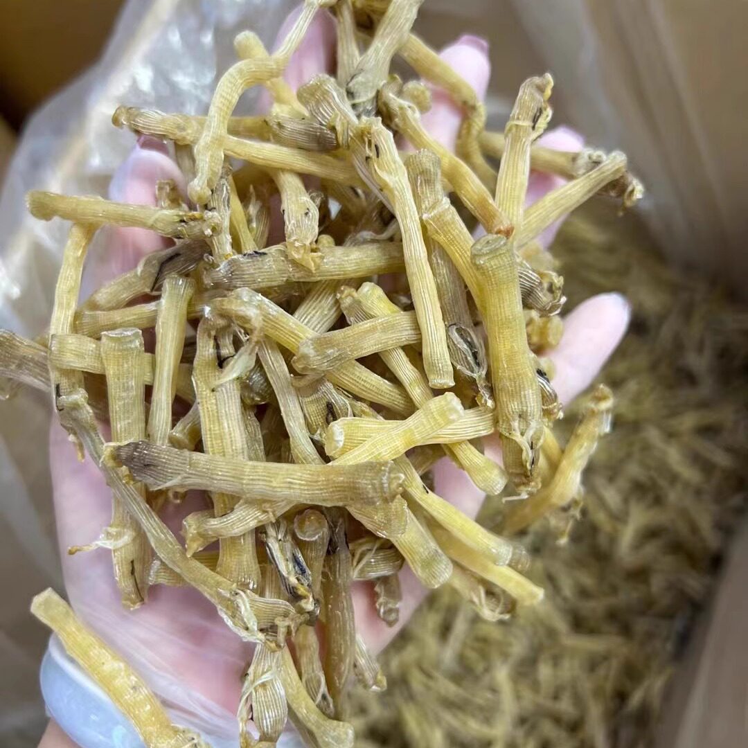阳江沙扒湾 本地渔民生晒小沙虫干货 海肠子煲汤煮粥儿童孕妇辅食