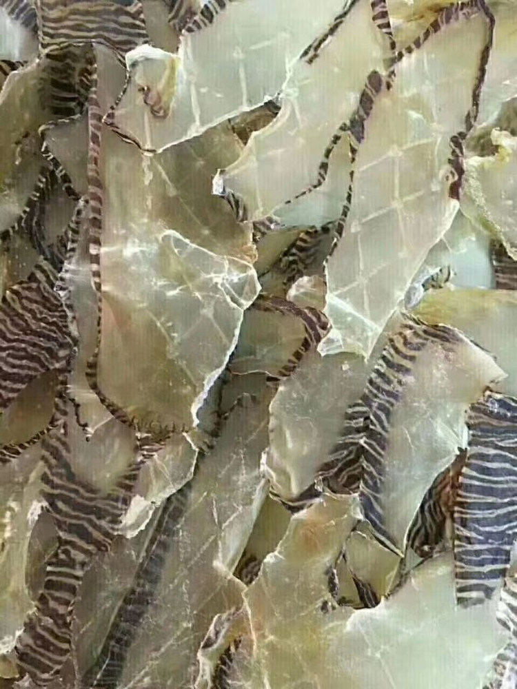 阳江深海野生花螺1斤包邮