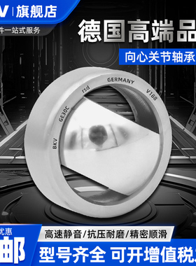 德国BKV进口向心关节轴承自润滑GE4 5 6 8 10 12 15 17 20 25C/UK