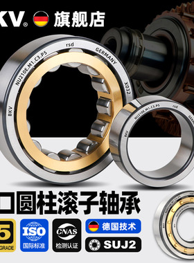 德国BKV进口轴承RN203 204 205 206 207 208 209EM圆柱滚子轴承