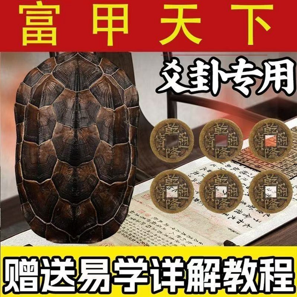 天然真乌龟壳龟甲乾隆铜钱六爻64摇卦算挂卦牌卡卜测文玩手把摆件,家居饰品,国学摆件,淘宝优惠券,粉丝福利购,淘宝优惠卷