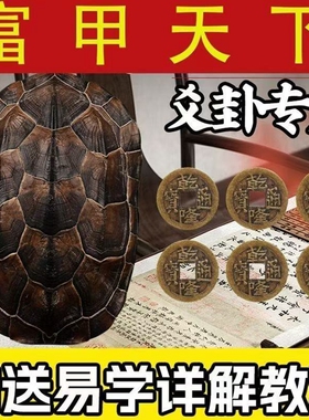 天然真乌龟壳龟甲六爻64摇卦算挂