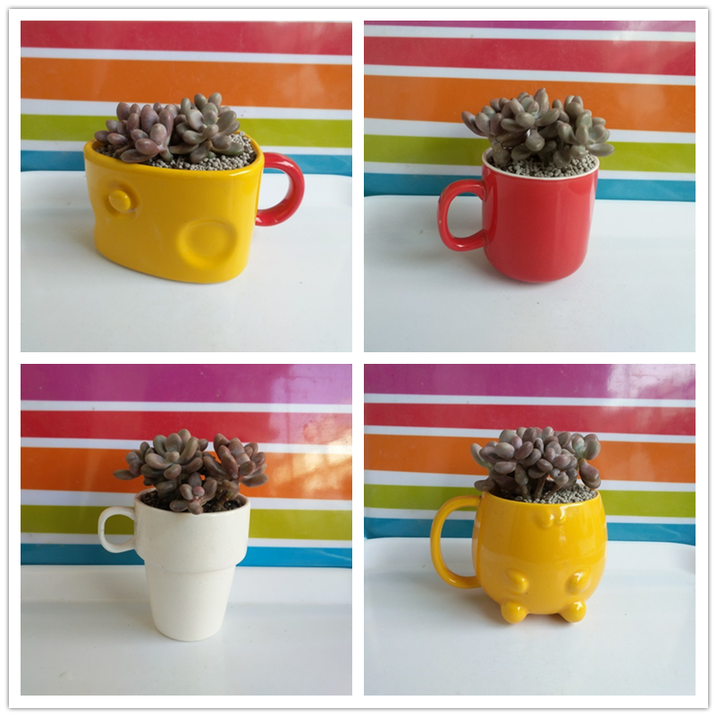 陶瓷1元质量问题打折茶杯小花盆