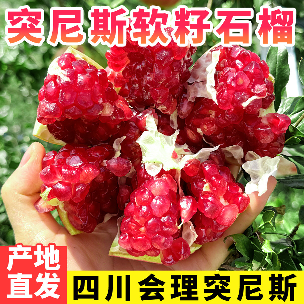 现摘现发大果会理突尼斯软籽石榴图片
