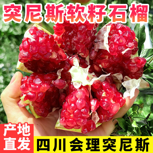 现摘现发大果会理突尼斯软籽石榴
