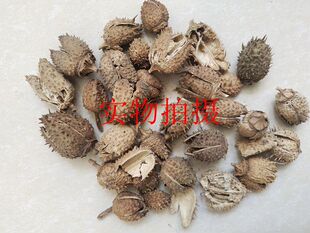 野生中药材曼陀罗籽臭麻籽仙桃果陀罗果野茄籽壳和籽一起发500克