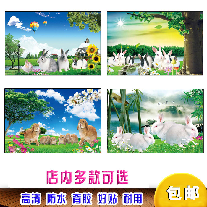 兔子海报儿童房可爱动物海报早教图片装饰画贴四只小白兔海报贴图