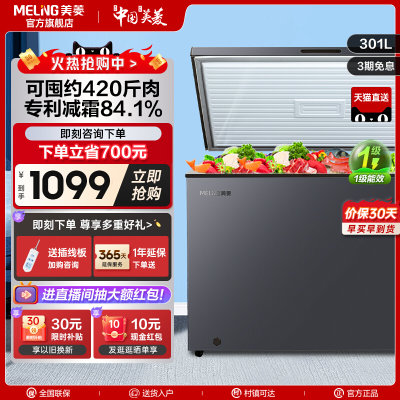 MeiLing/美菱301L大容量冷柜