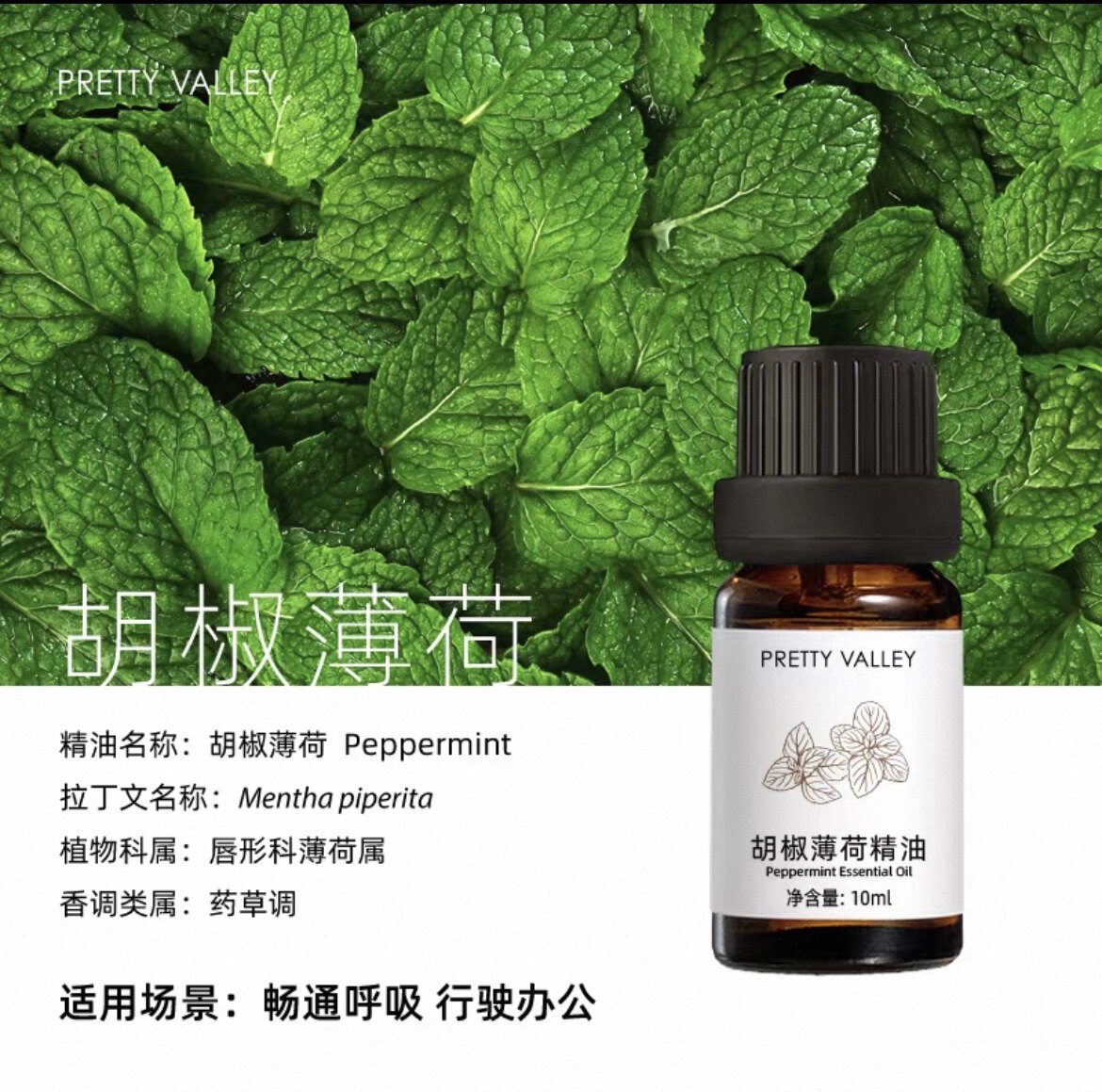汇美舍 胡椒薄荷精油10ml单方精油 面部护肤身体按摩香薰精油