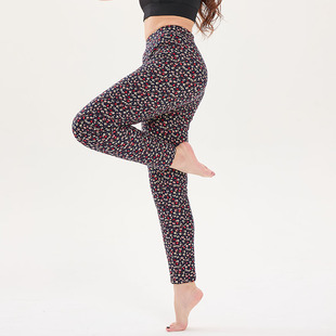 吉美羊羊毛裤蚕丝妇女妈妈中老年大码加厚棉裤女外穿保暖裤打底裤