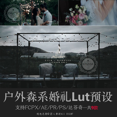 户外森系婚礼视频调色LUT预设PS AE Pr FCPX 达芬奇调色lut预设U4